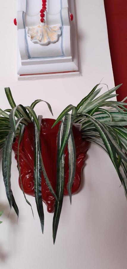 卡梅纳维洛拉 Pame Pantheos酒店 外观 照片